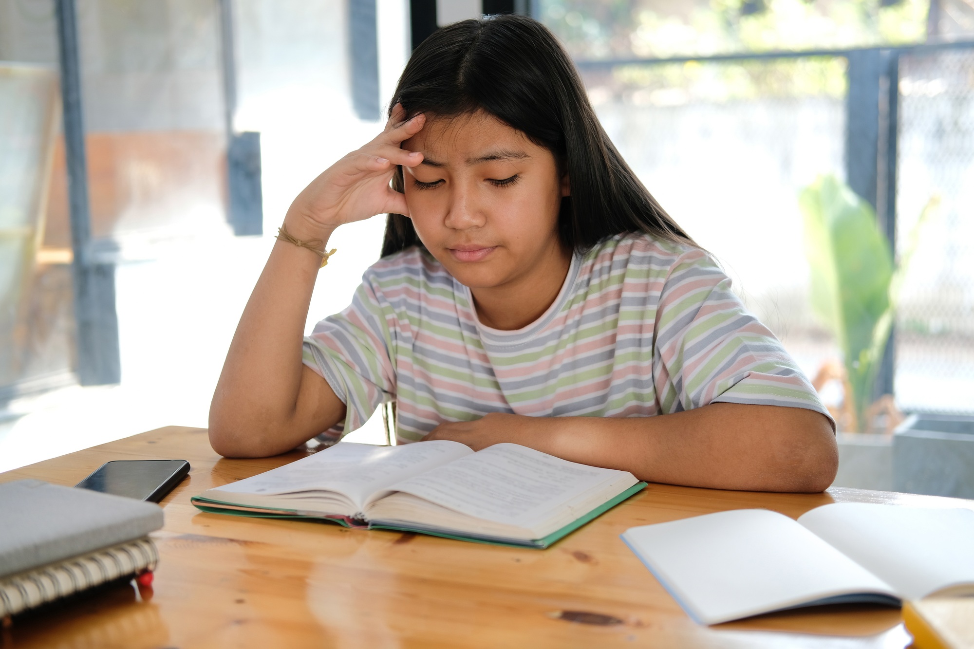 brevet